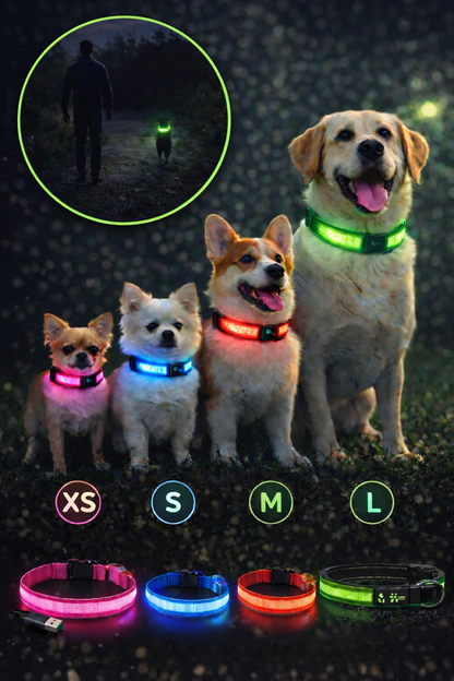 Collar recargable LED para perros